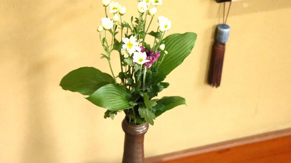 Accommodation & Restaurant Shunkouen