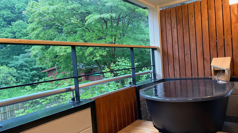 Shinobu Onsen Seishu