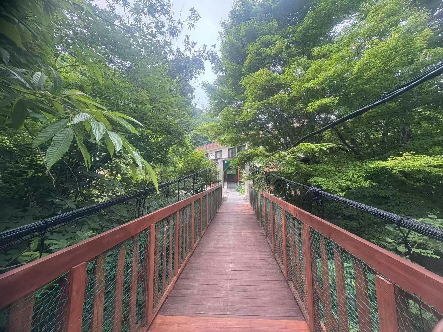 Shinobu Onsen Seishu