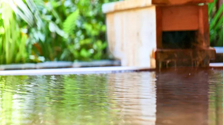 Shinobu Onsen Seishu