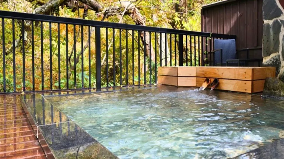 Shinobu Onsen Seishu
