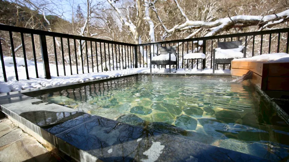 Shinobu Onsen Seishu