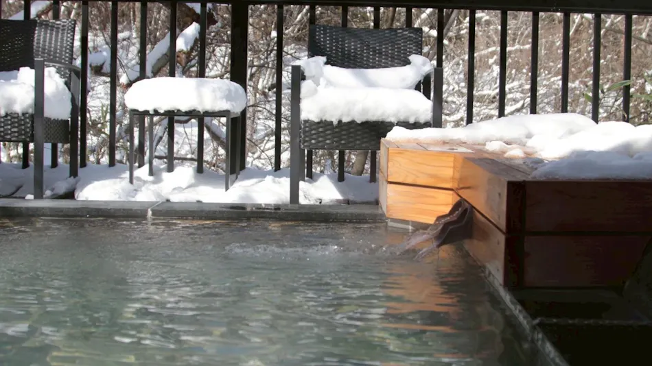 Shinobu Onsen Seishu