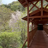 通往露天温泉的连廊