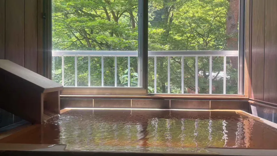 Shinobu Onsen Seishu