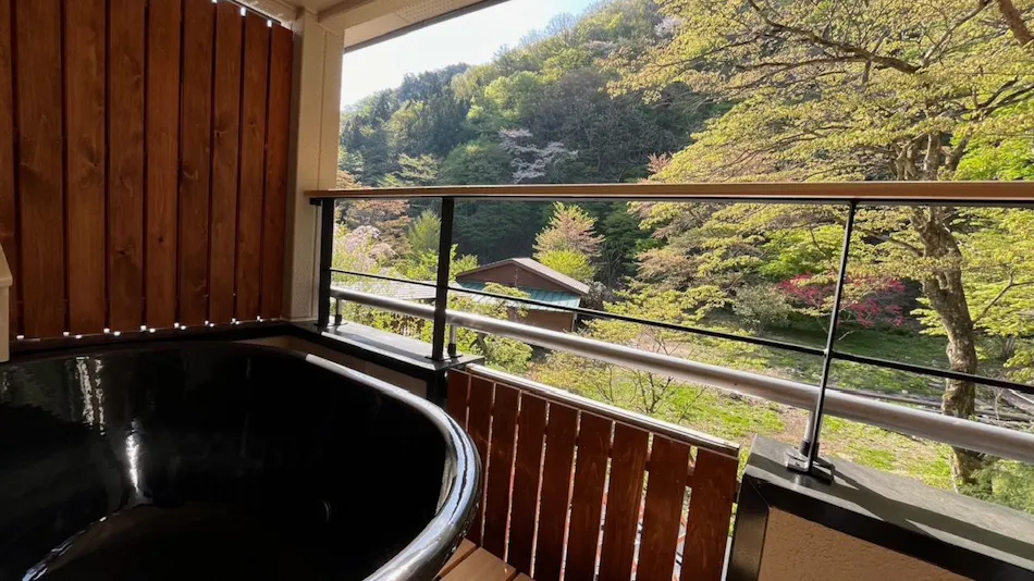 Shinobu Onsen Seishu
