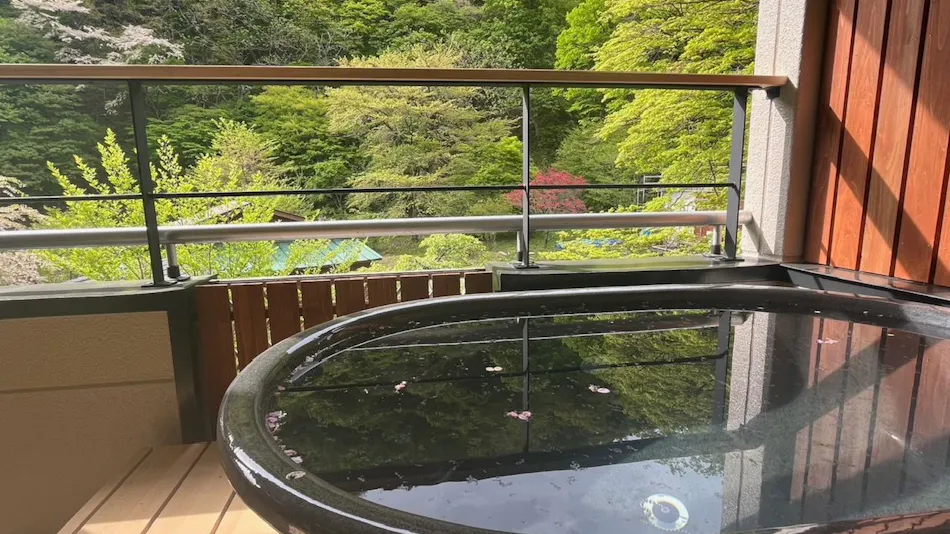 Shinobu Onsen Seishu