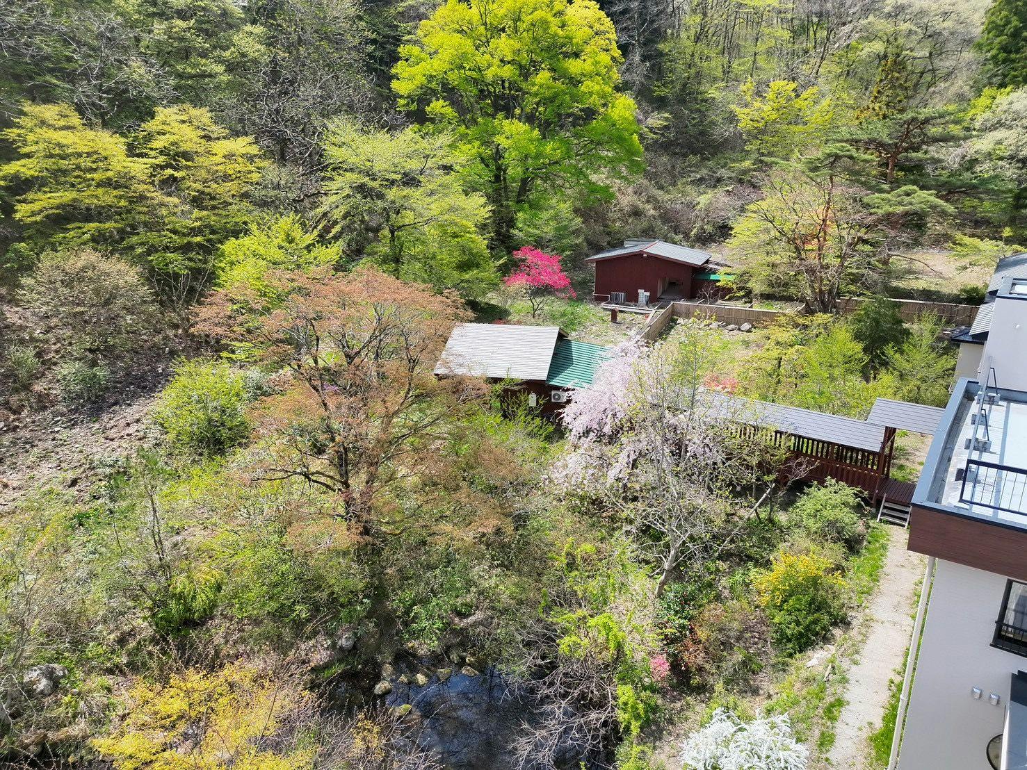 Shinobu Onsen Seishu