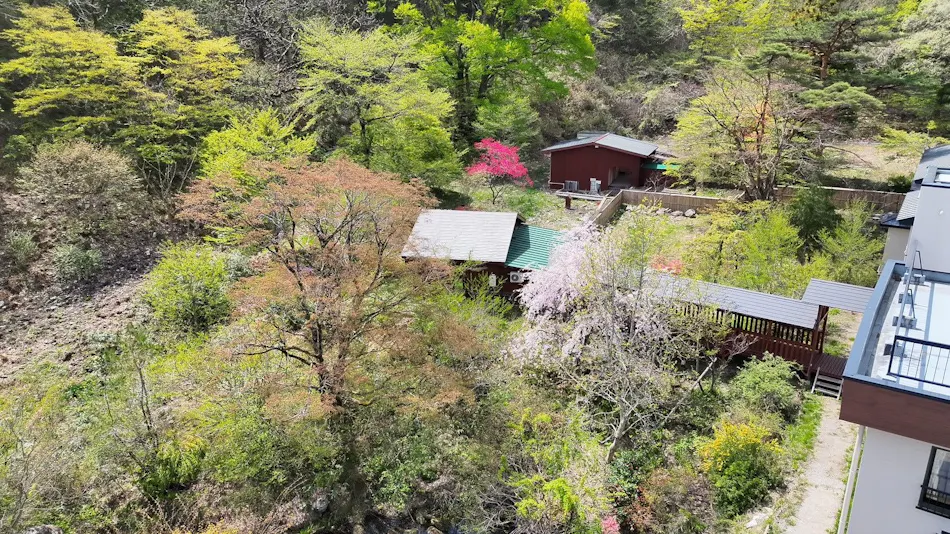 Shinobu Onsen Seishu