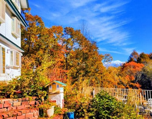 施設【外観・秋】