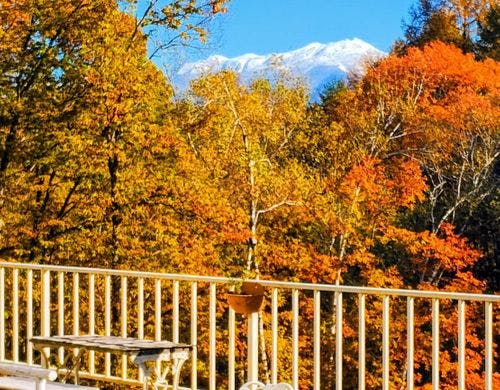 施設【外観・秋】