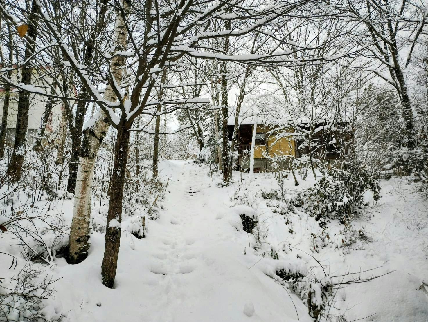 Quiet Forest Accommodation Pension Colobockle
