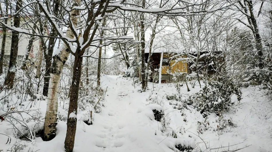 Quiet Forest Accommodation Pension Colobockle