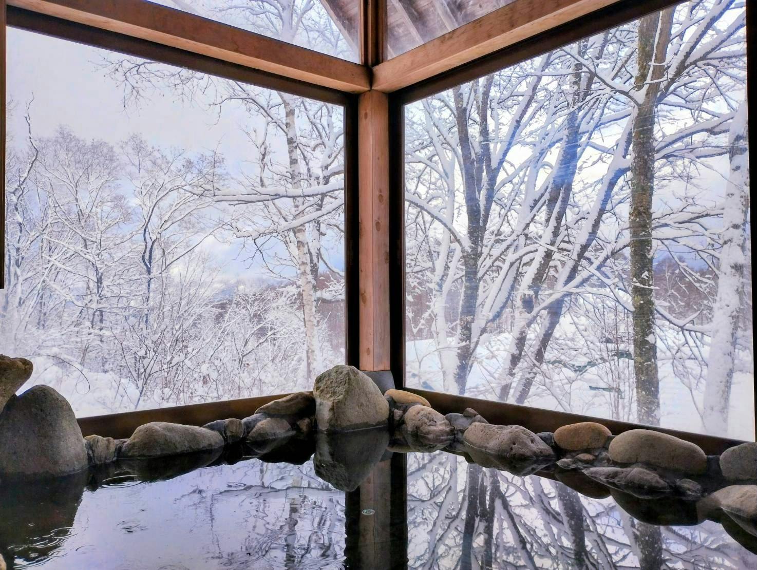 Quiet Forest Accommodation Pension Colobockle