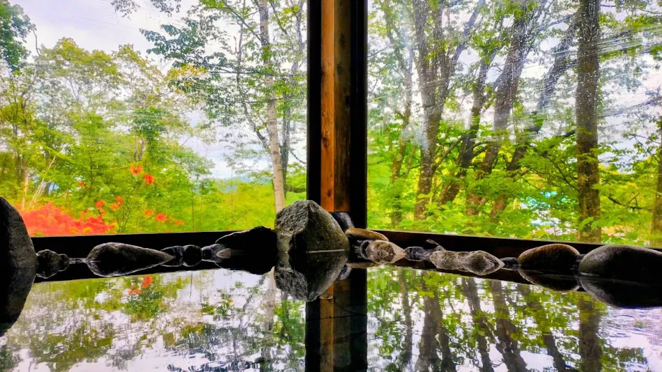 Quiet Forest Accommodation Pension Colobockle