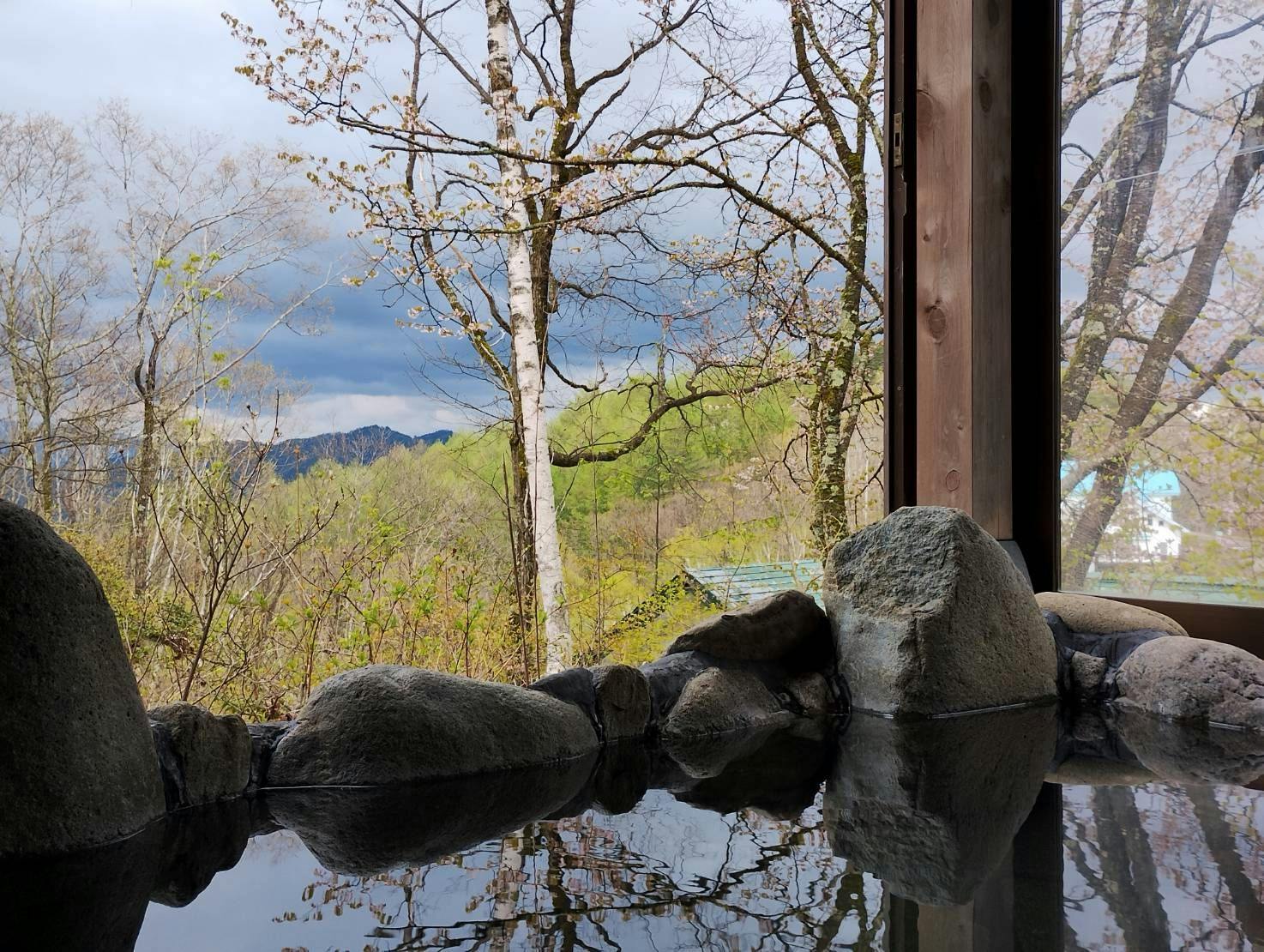 Quiet Forest Accommodation Pension Colobockle