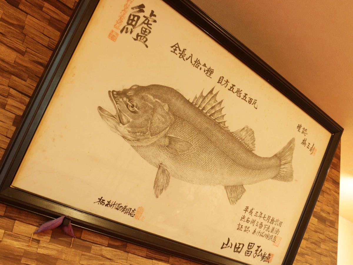 Live Fish Accommodation Asashio