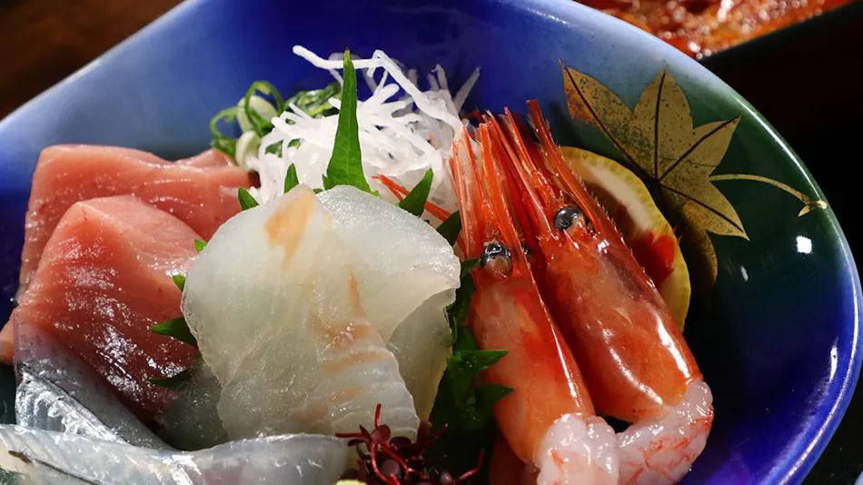 Live Fish Accommodation Asashio