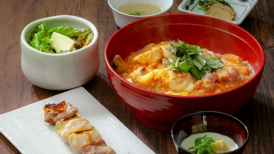 HATAGO HIKONE Annex