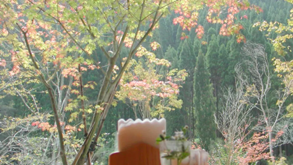 Anraku Onsen Syumine
