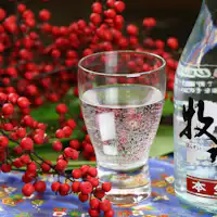 สาเกท้องถิ่น มาคุสุอิ