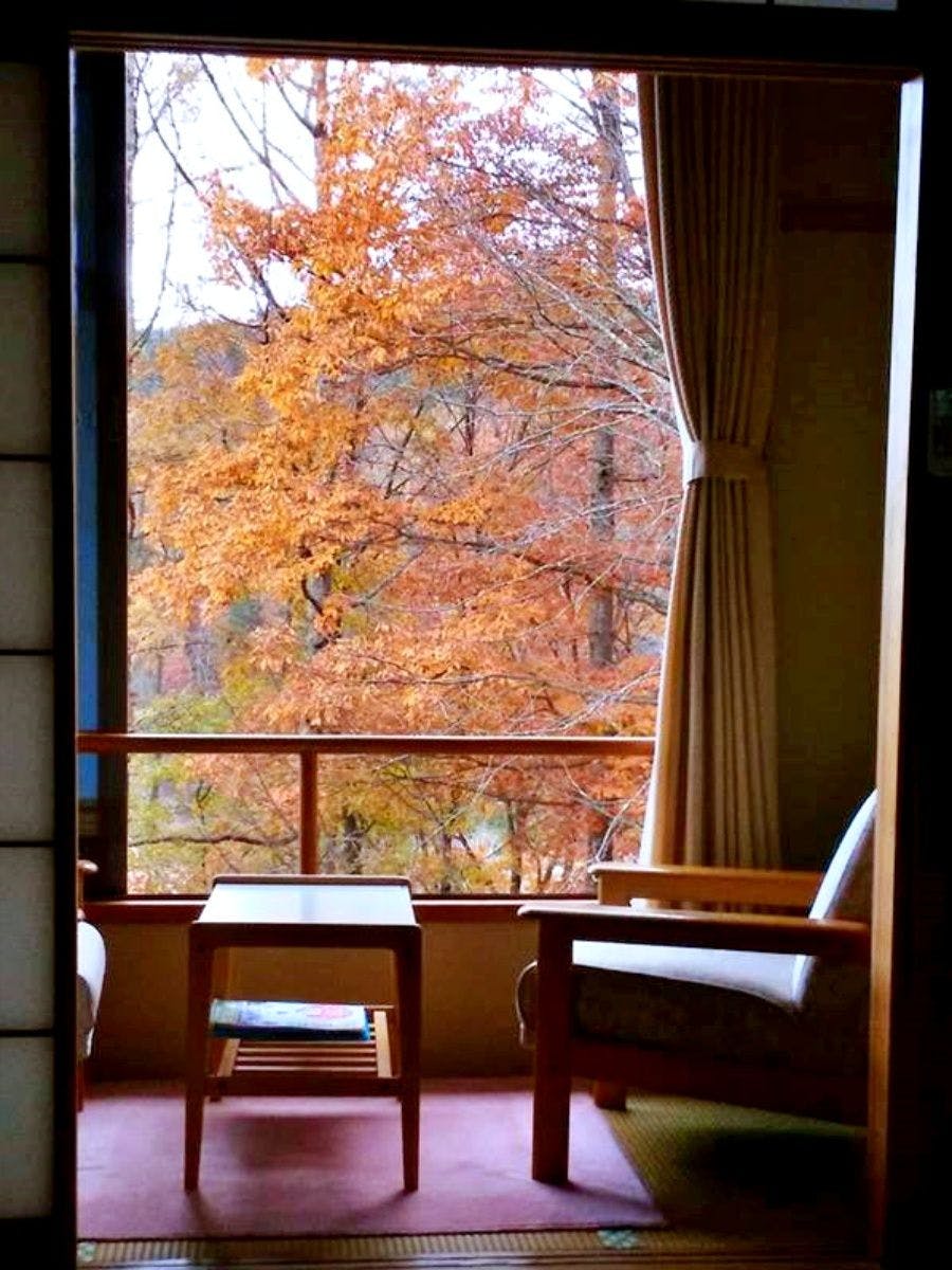 วิวจากห้องพัก ฤดูใบไม้ร่วง