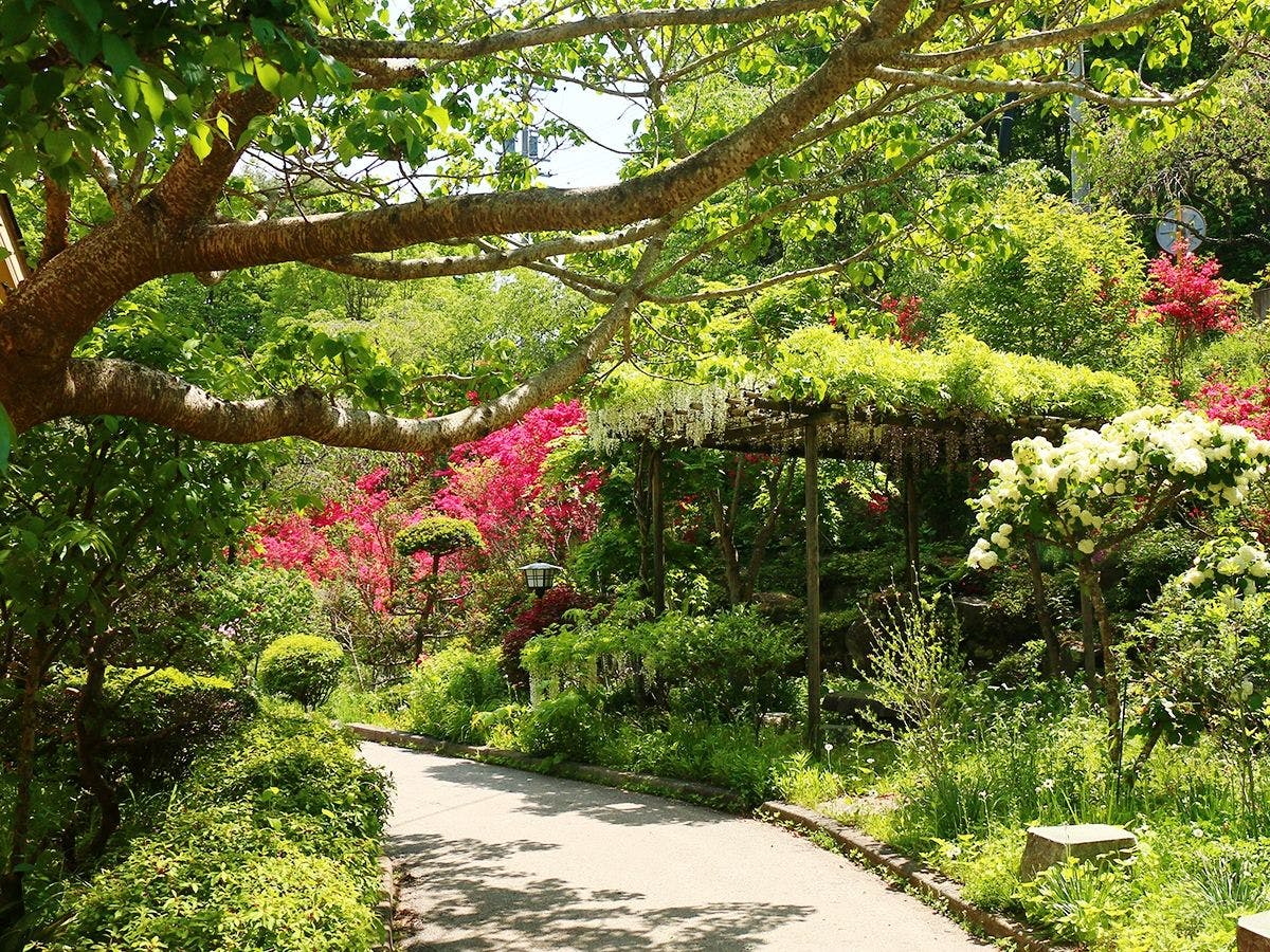 จากที่จอดรถถึงทางเข้า