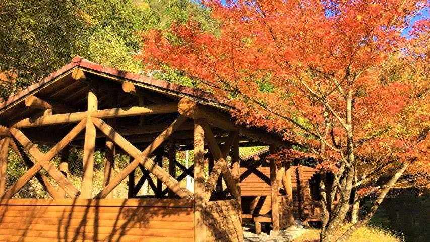 Nature Resort in Shimanto