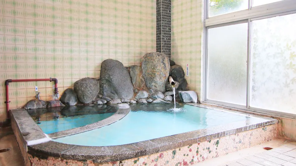 Traveler's Accommodation Tokyo House