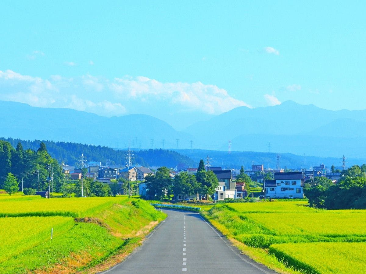 บริเวณโดยรอบเต็มไปด้วยทัศนียภาพที่งดงามแบบญี่ปุ่น