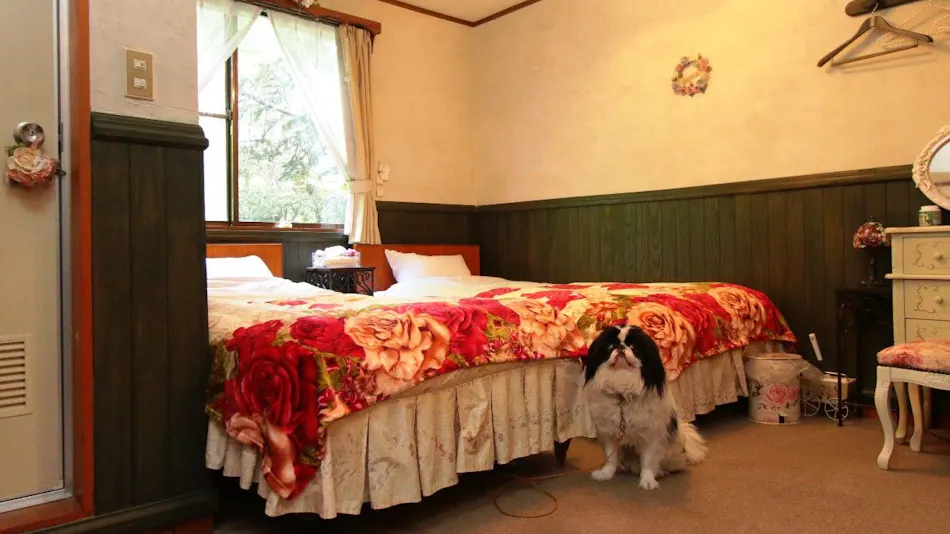 Dog-Friendly Accommodation Shirakaba Club
