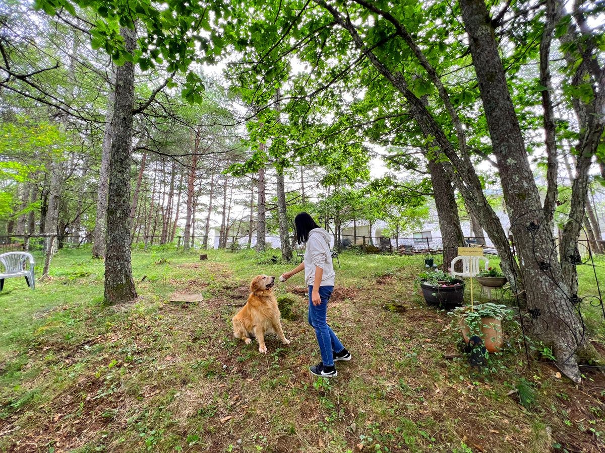 Dog-Friendly Accommodation Shirakaba Club