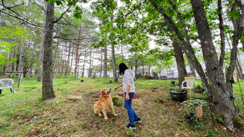 Dog-Friendly Accommodation Shirakaba Club