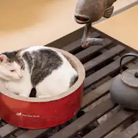*류 군