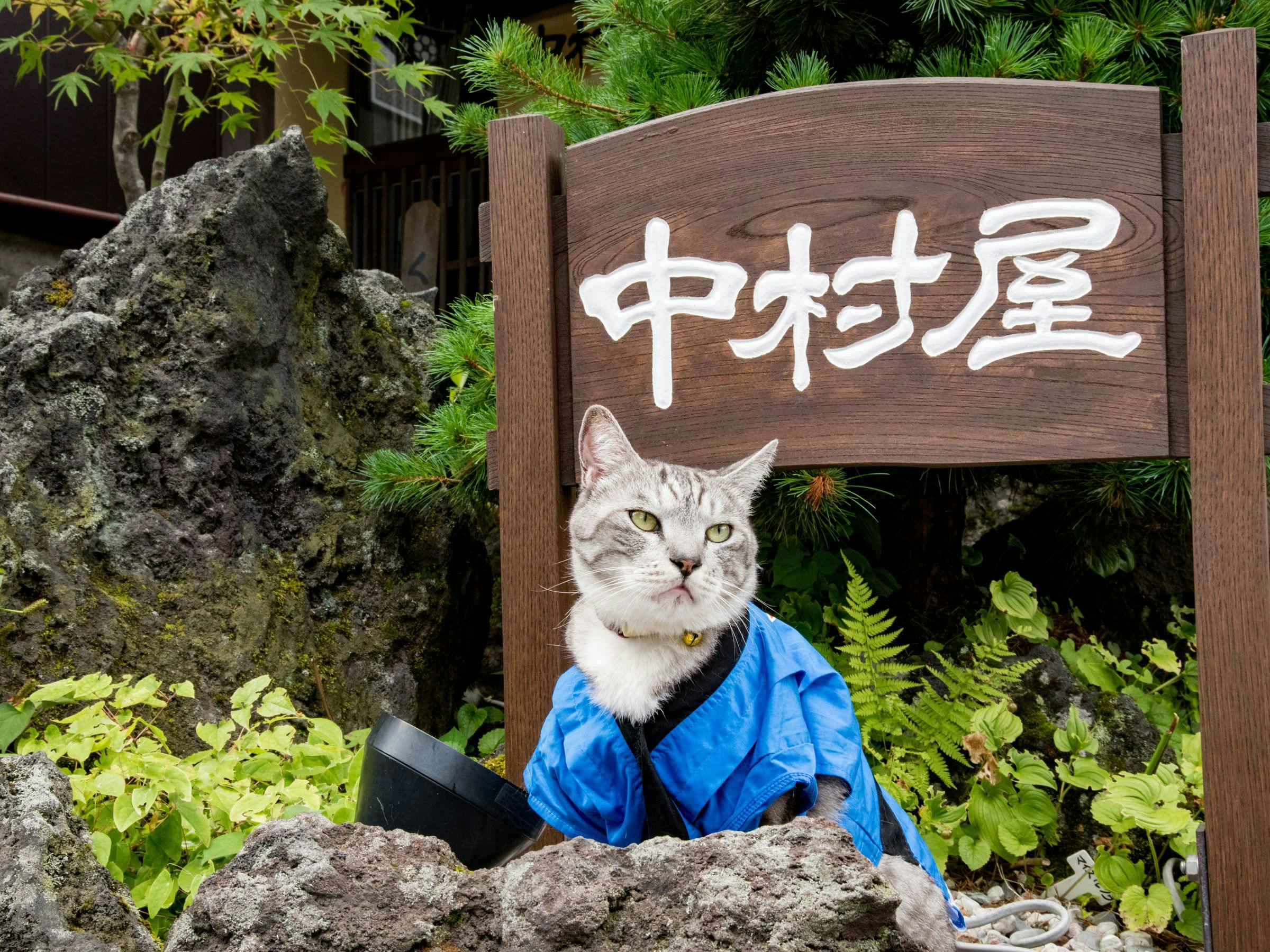 施設画像