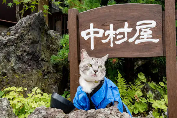 施設画像