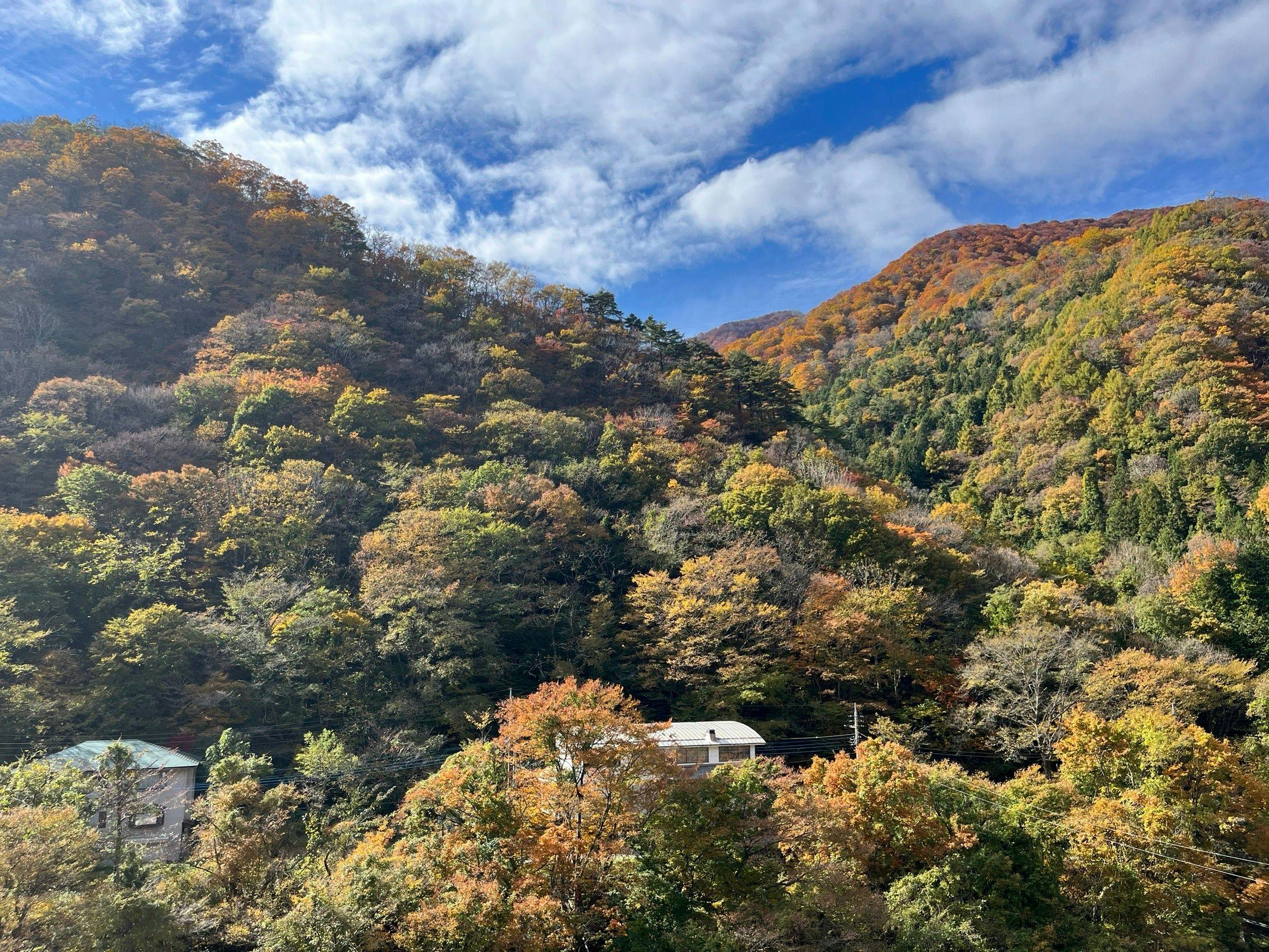 Fukunoya