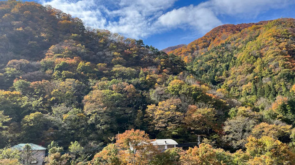 Fukunoya