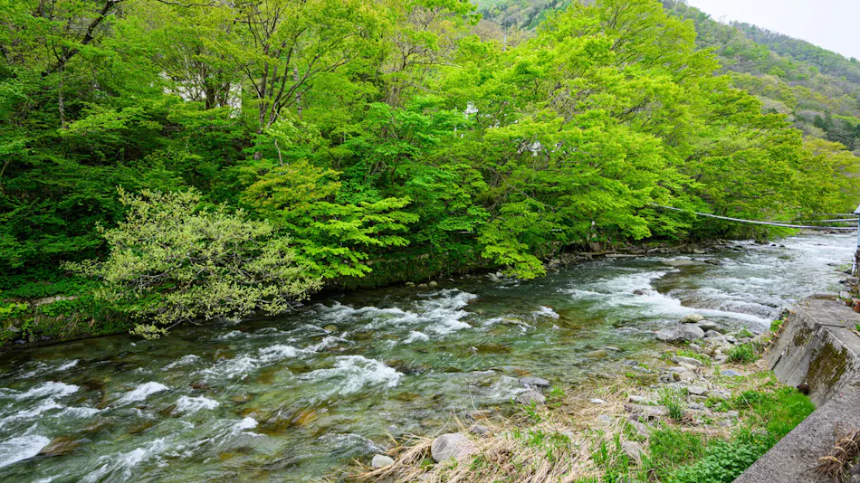 Fukunoya