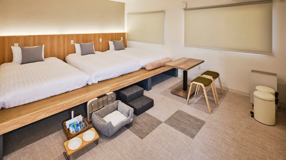 Blue quad hotel Suwa