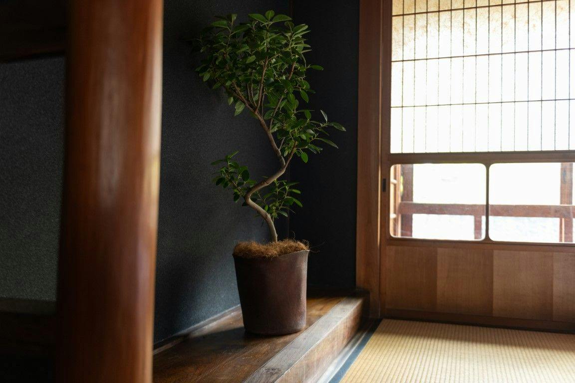 Sasayama Castle Town Guesthouse quolo