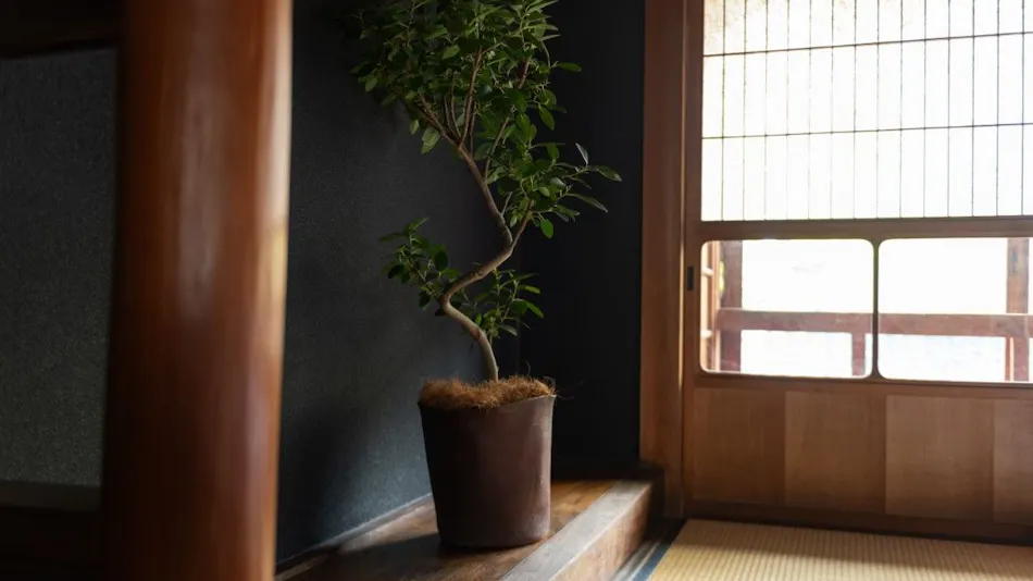 Sasayama Castle Town Guesthouse quolo