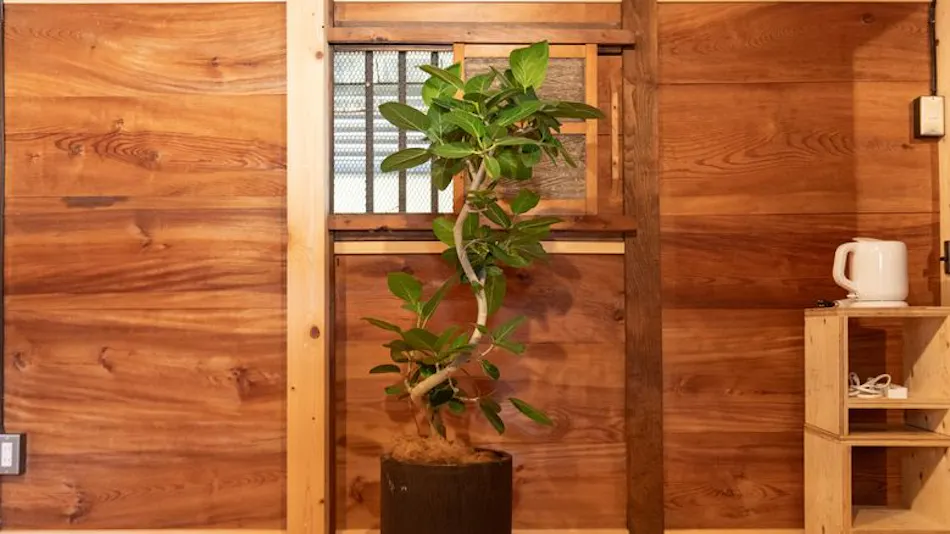 Sasayama Castle Town Guesthouse quolo