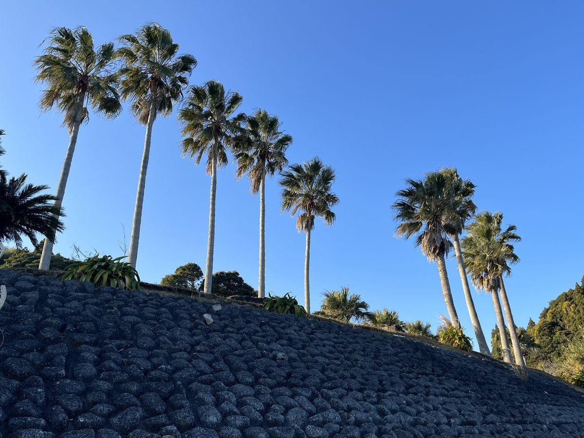 【주변】