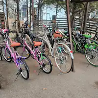 บริการเช่าจักรยาน