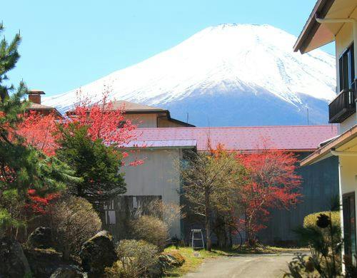 富士山
