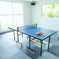 Bilik permainan: meja pingpong