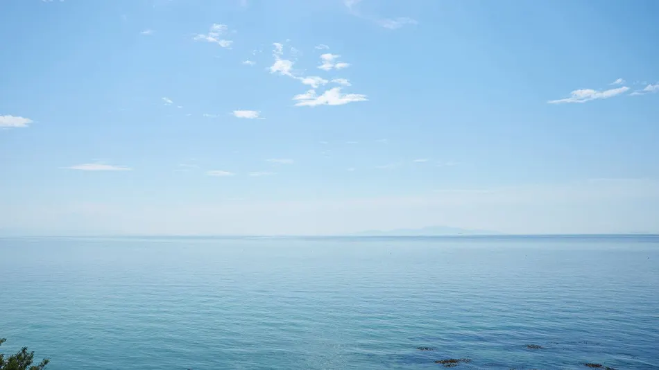 Awaji Kusaka Jangle