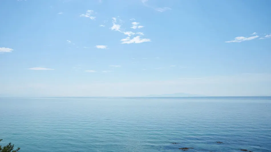 Awaji Kusaka Jangle