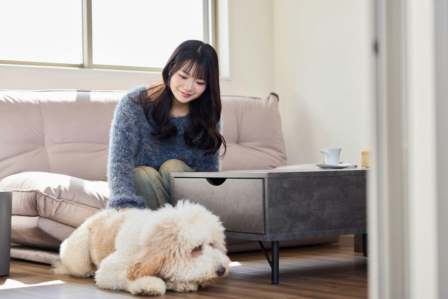 Hikone Lakeside Resort KOMOREVILLAGO